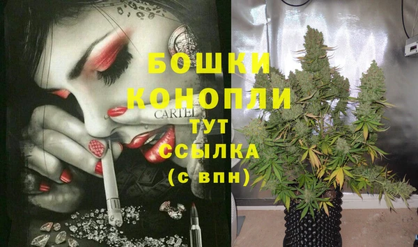 прущий лед Горняк